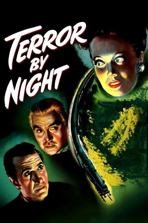 Download Terror by Night poster