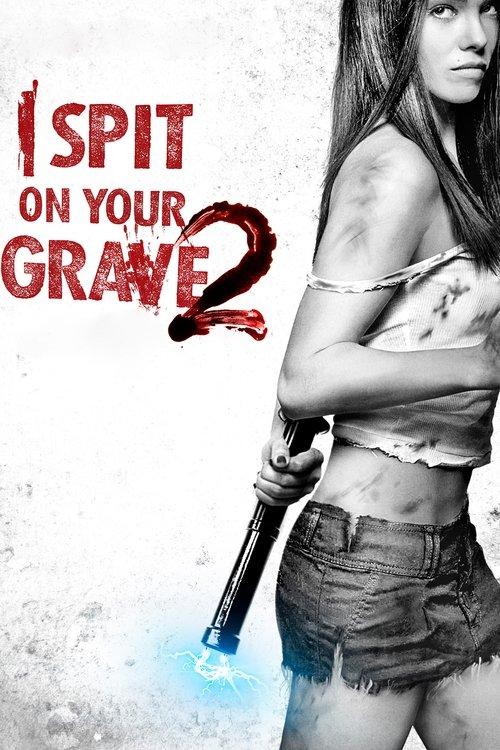 Download I Spit on Your Grave 2 poster