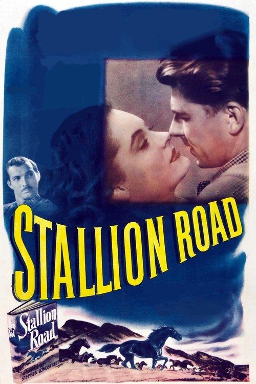 Download Stallion Road poster
