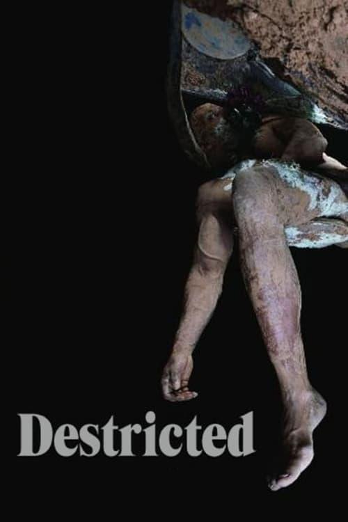 Download Destricted poster