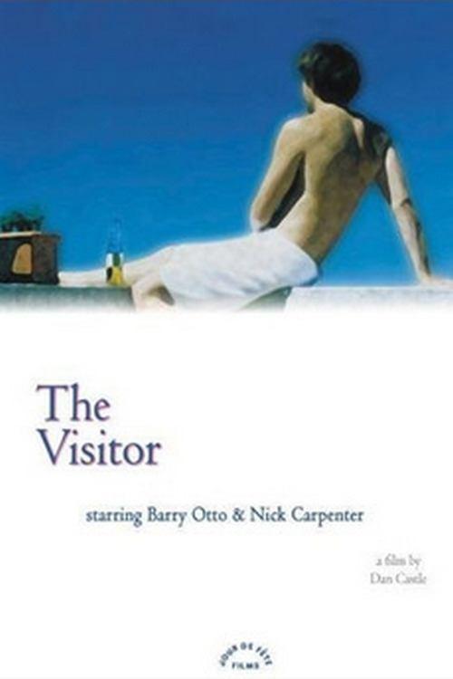 Download The Visitor poster
