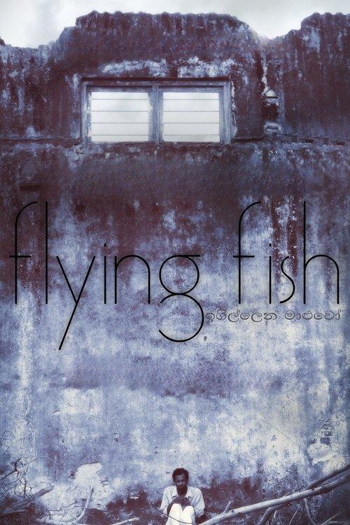 Download Flying Fish poster