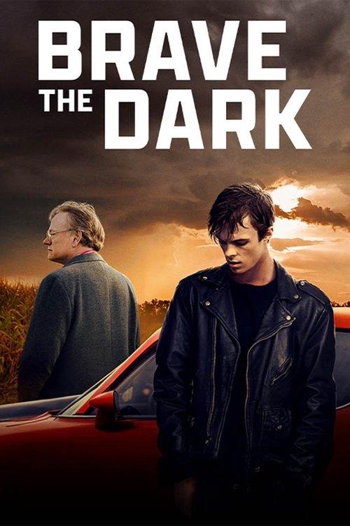 Download Brave the Dark poster