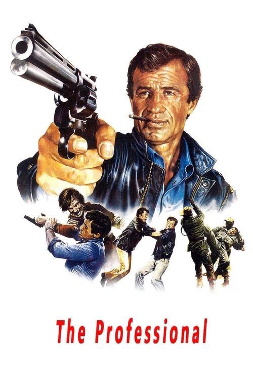 Download The Professional poster