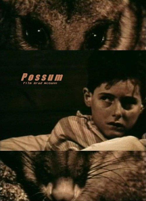 Download Possum poster