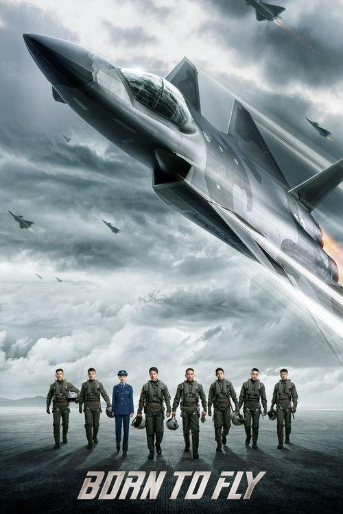 Download Born to Fly poster