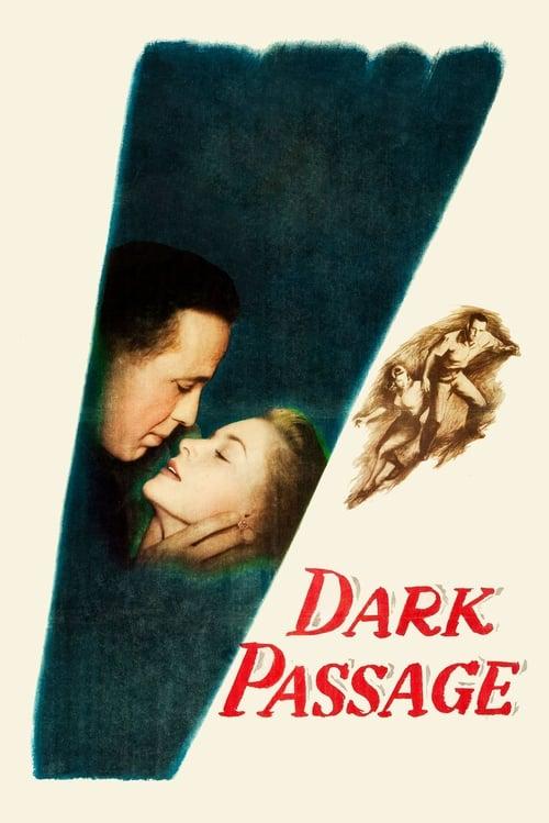Download Dark Passage poster