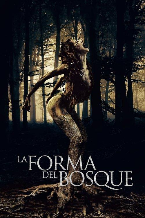 Download The Shape of the Woods poster