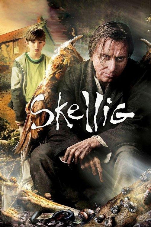 Download Skellig poster
