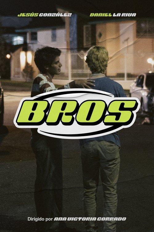 Download Bros poster
