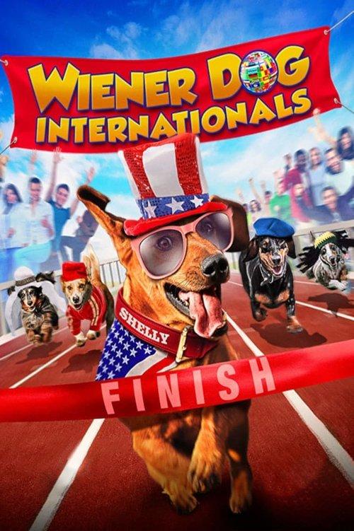 Download Wiener Dog Internationals poster