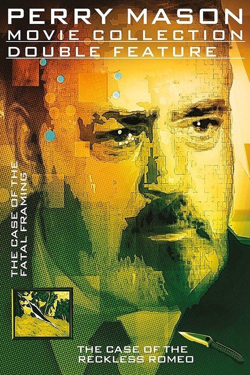 Download Perry Mason: The Case of the Fatal Framing poster