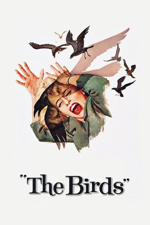 Download The Birds poster