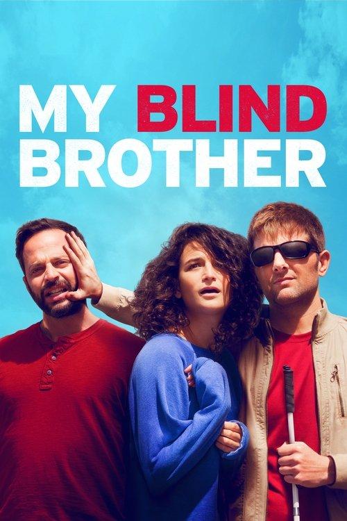 Download My Blind Brother poster