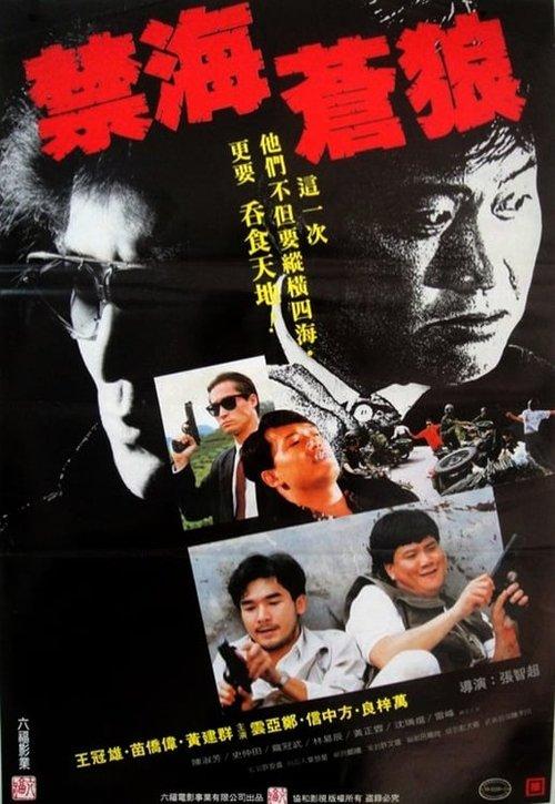Download The Killer from China poster