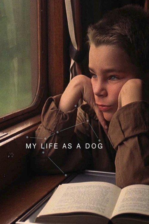 Download My Life as a Dog poster