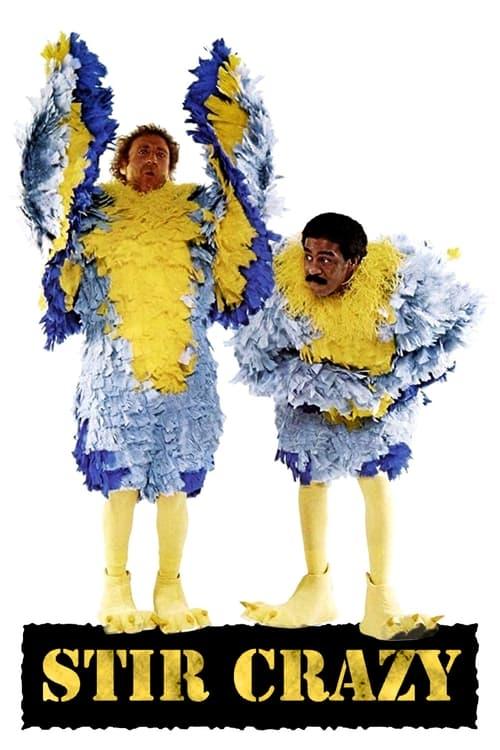 Download Stir Crazy poster