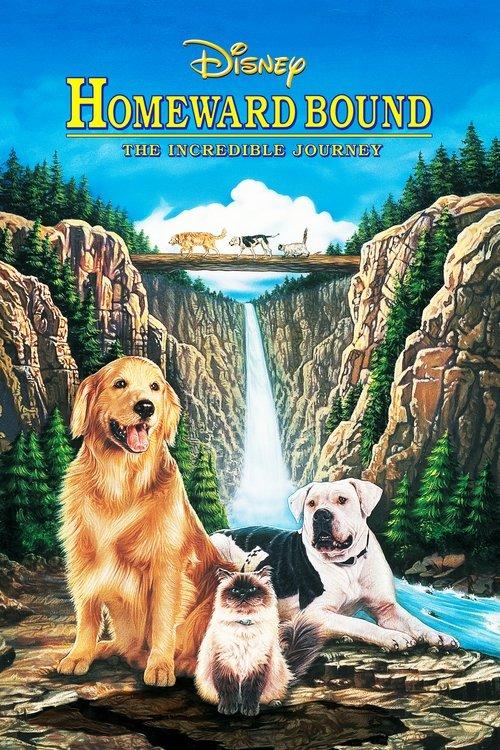 Download Homeward Bound: The Incredible Journey poster