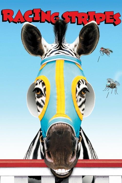 Download Racing Stripes poster