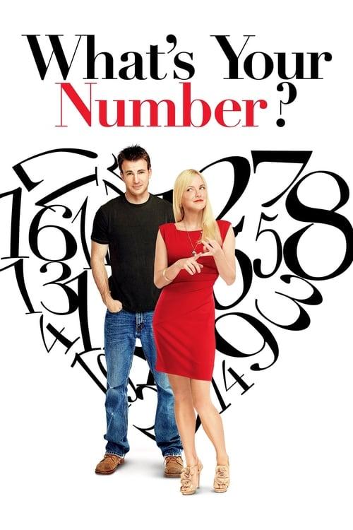 Download What's Your Number? poster
