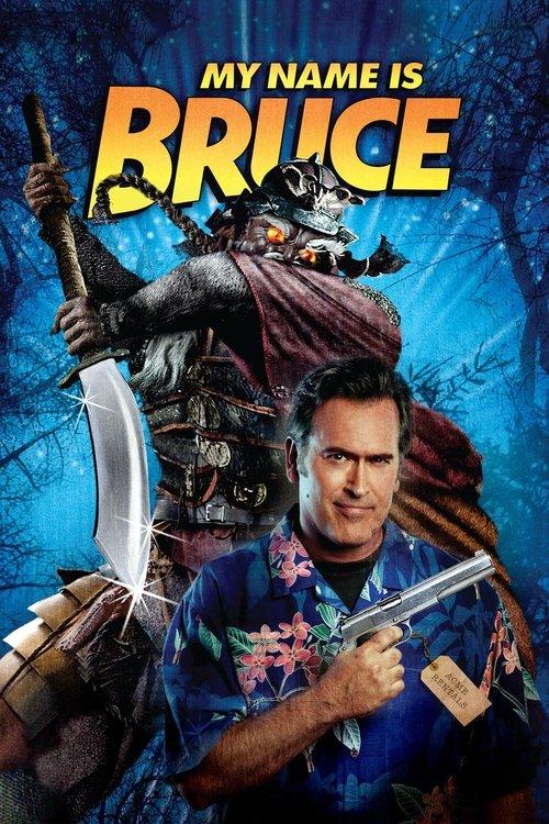 Download My Name Is Bruce poster