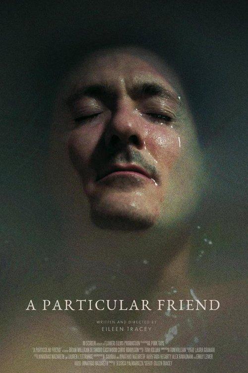 Download A Particular Friend poster