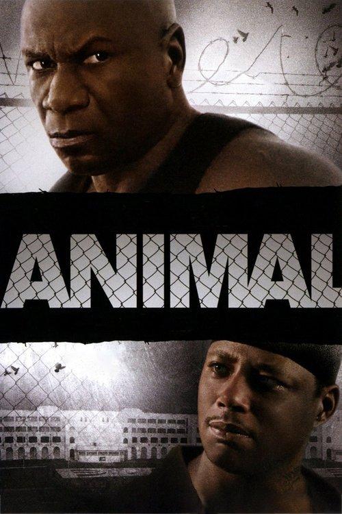 Download Animal poster