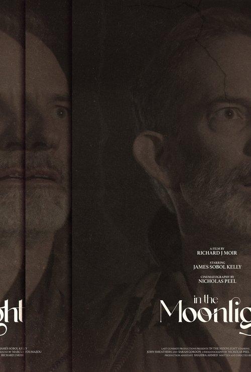 Download In The Moonlight poster