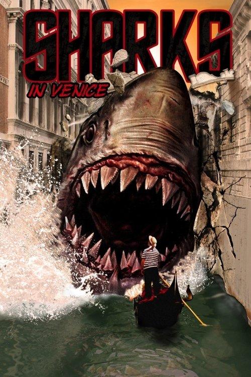 Download Sharks in Venice poster