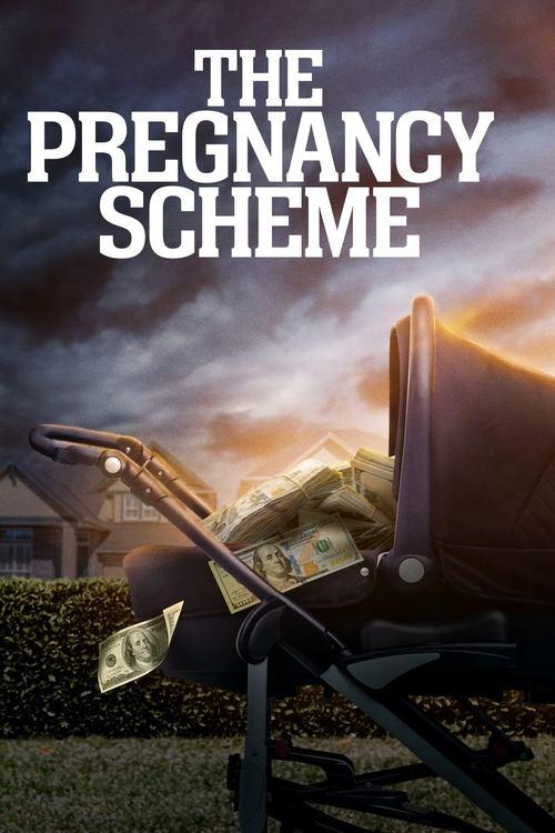 Download The Pregnancy Scheme poster