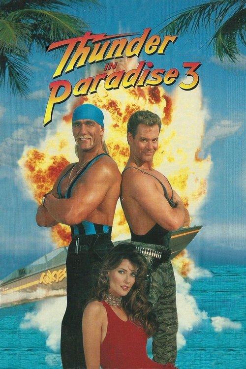 Download Thunder in Paradise 3 poster