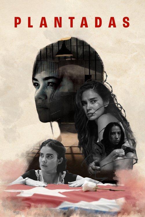 Download Plantadas poster
