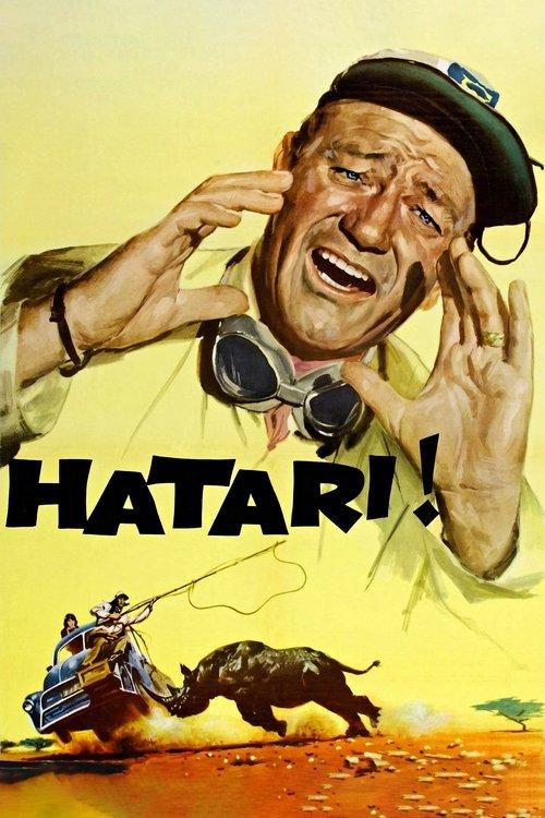 Download Hatari! poster