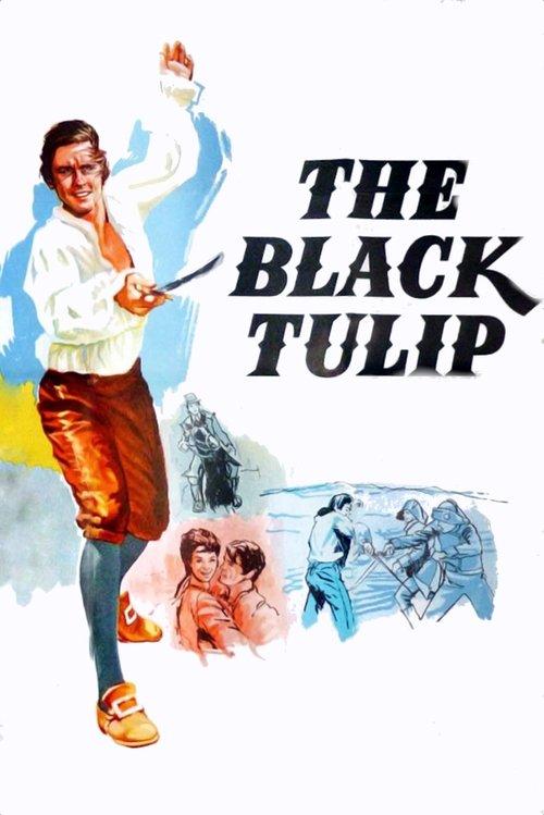 Download The Black Tulip poster