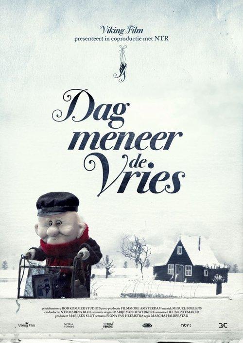 Download Goodbye Mister De Vries poster