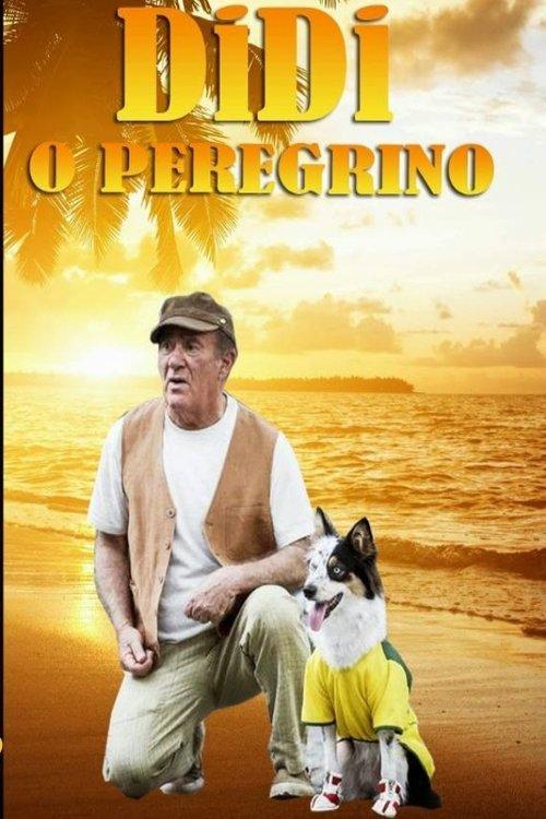Download Didi, o Peregrino poster