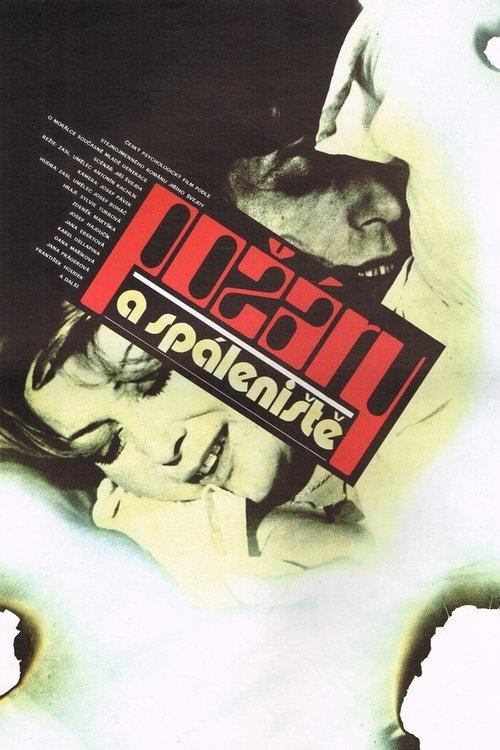Download Požáry a spáleniště poster