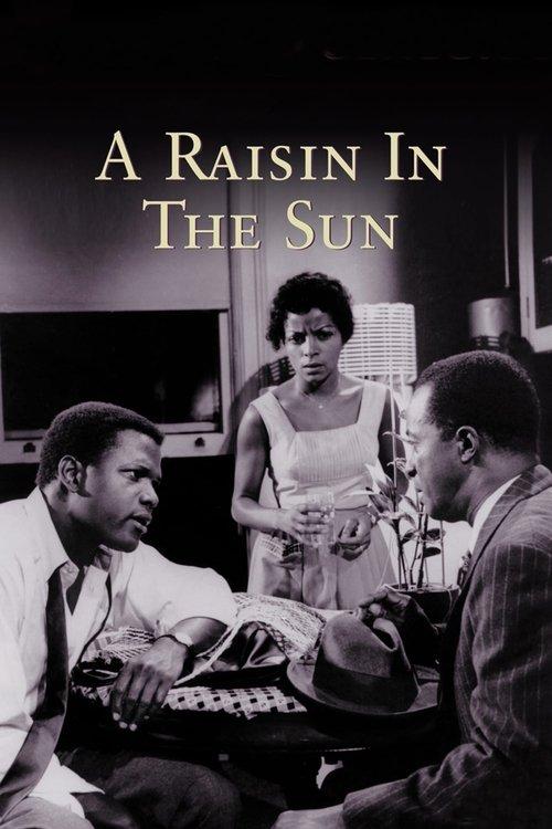 Download A Raisin in the Sun poster