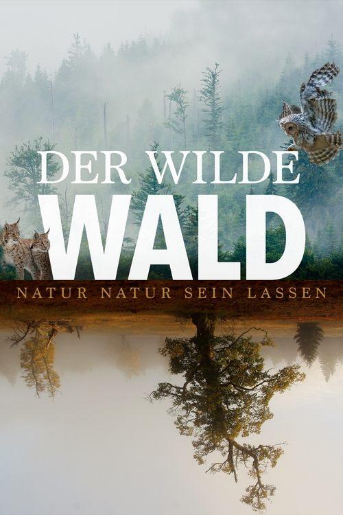Download The Wild Forest poster