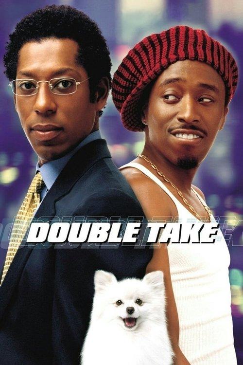 Download Double Take poster