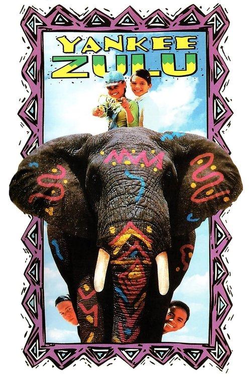 Download Yankee Zulu poster