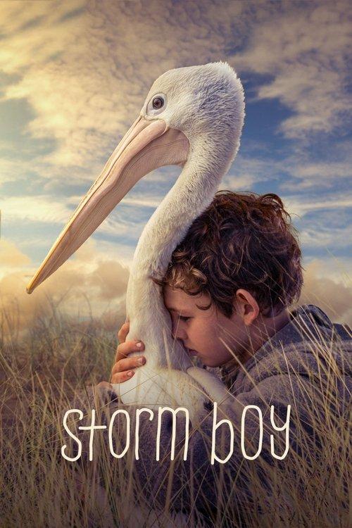 Download Storm Boy poster