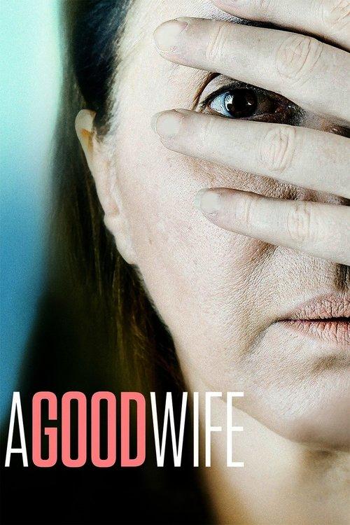 Download A Good Wife poster
