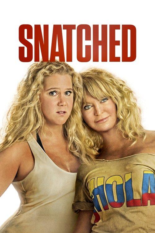 Download Snatched poster