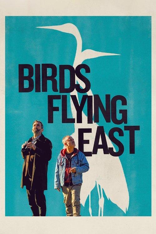 Download Birds Flying East poster