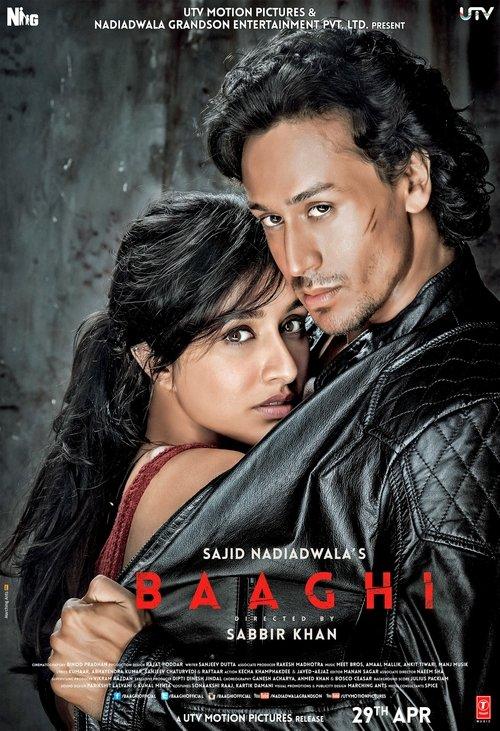 Download Baaghi poster