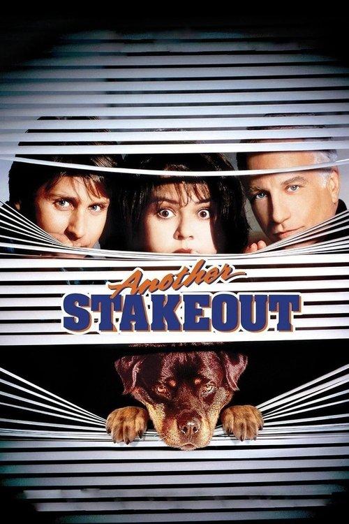 Download Another Stakeout poster