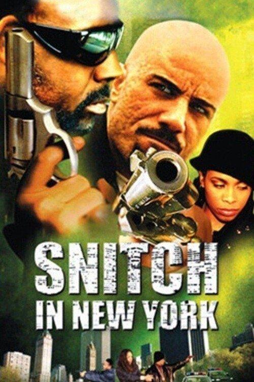 Download Snitch in New York poster