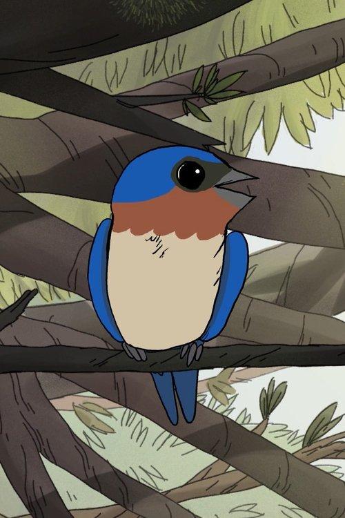 Download Birds poster