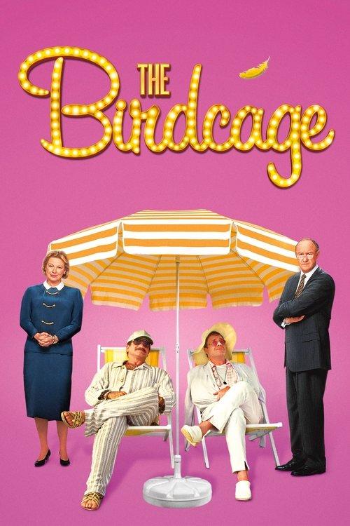 Download The Birdcage poster